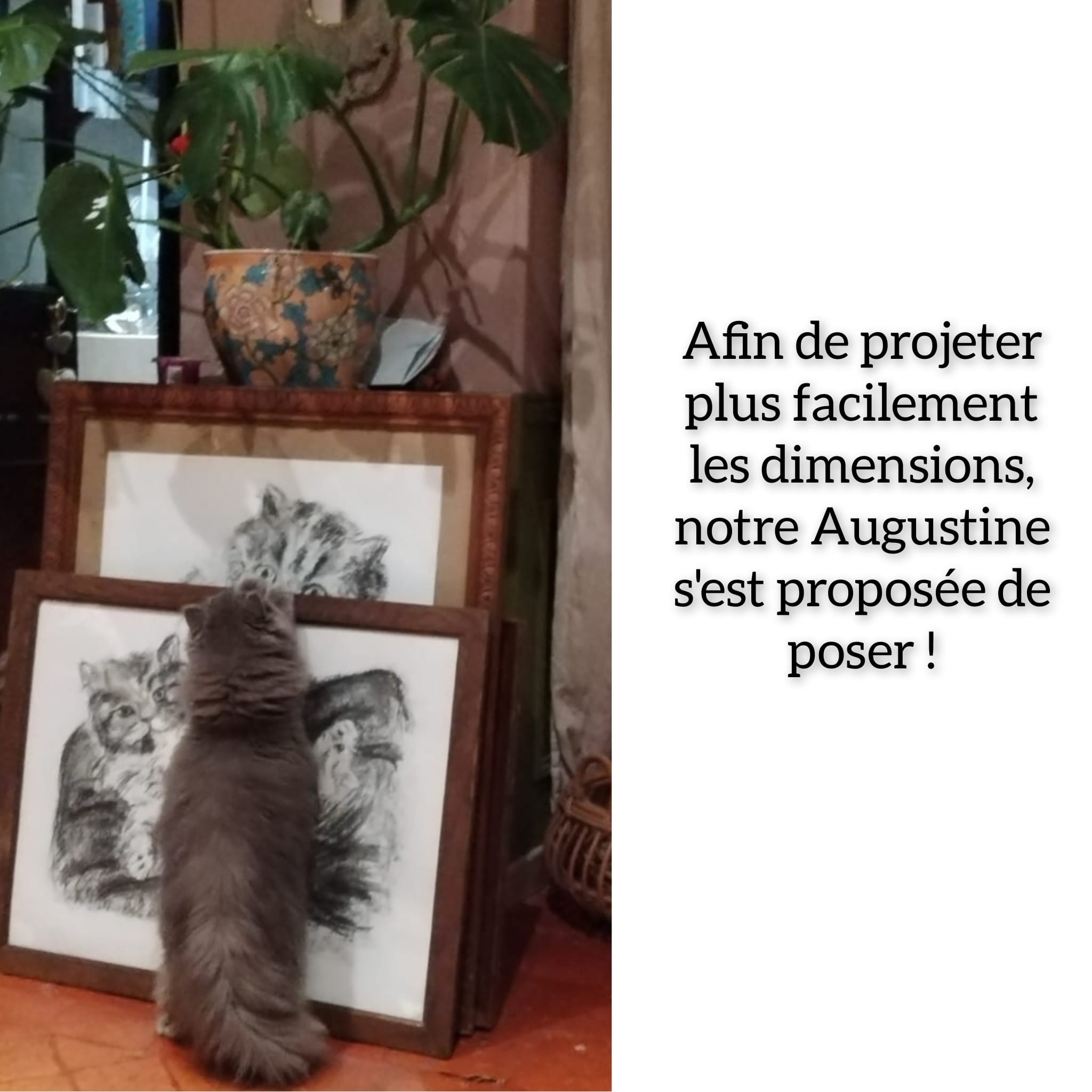 Notre Augusine qui supervise