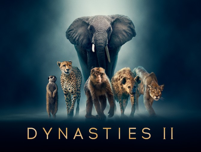 Su Mediaset, in esclusiva, 25 documentari BBC: si inizia con Dynasties II