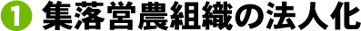 １．集落営農組織の法人化