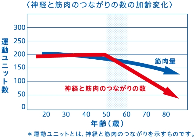 男性94名/JA Faulkner et. al. Clin Exp Pharmacol Physiol を基にしたイメージ