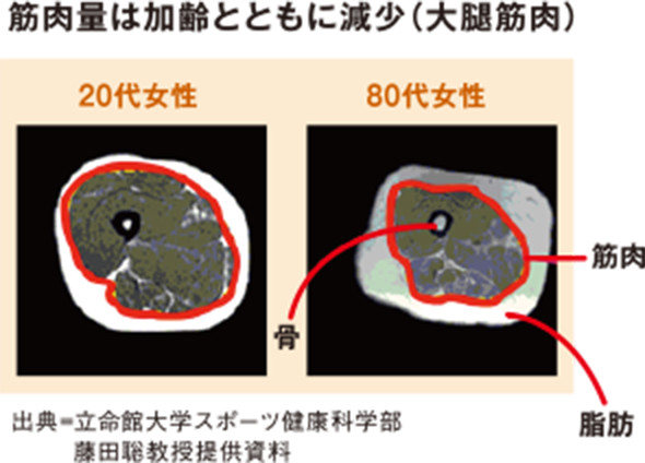 筋肉枯れ を防いで 延ばせ 健康寿命 welcome to healthy partners web site 健康都市ヘルシーパートナーズにようこそ