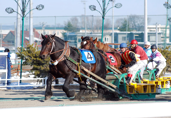 「ばんえい競馬」