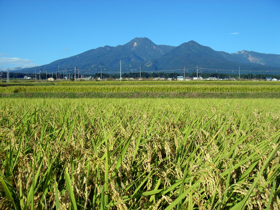 妙高戸隠連山国立公園を臨む