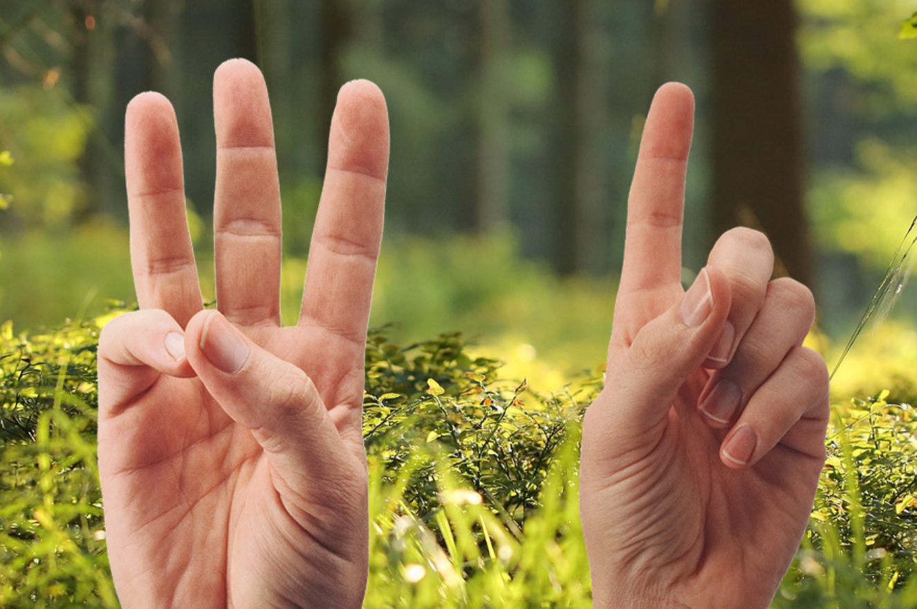 Die Positivity Ratio: Das Verhältnis, das dein Wohlbefinden beeinflusst