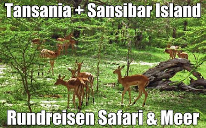 Tansania Rundreise und Baden Tansania Safari Kenia Sansibar Badeaufenthalt 2022-2023 günstig buchen