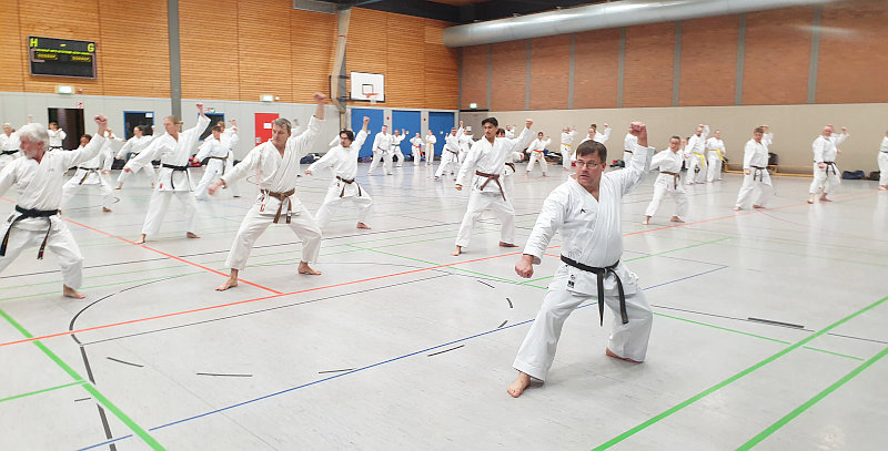 Karate-Lehrgang "Tempel Total!" mit überwältigender Teilnahme