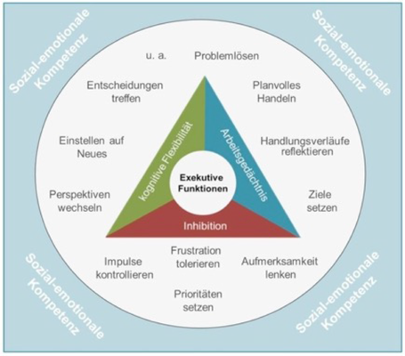 Exekutive Funktionen 1 - Abklärung Lerntherapie Entwicklungspädiatrie ...