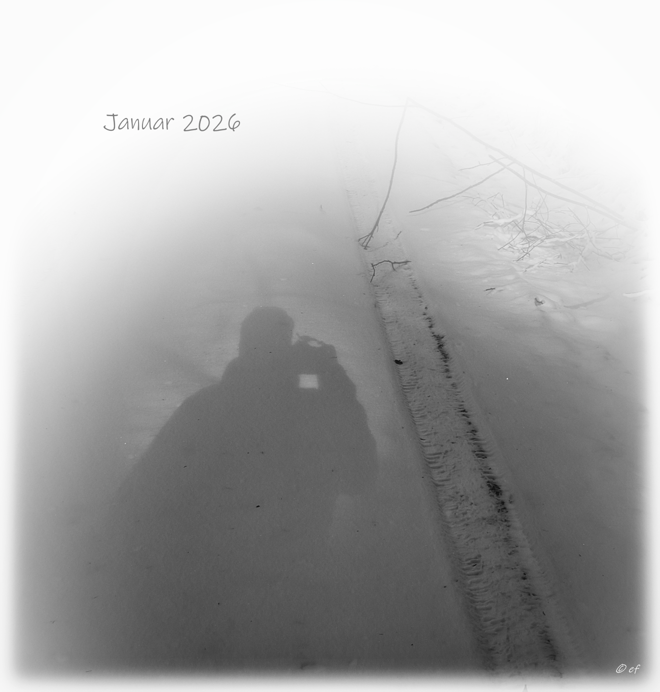 Der Januar 2026