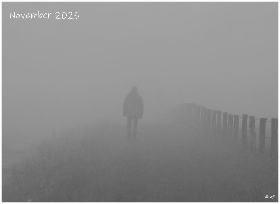 Der November 2025
