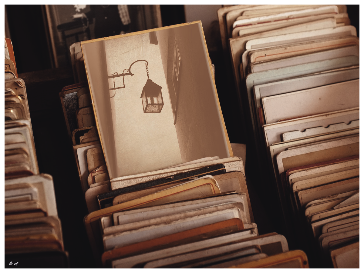 Die Entwicklungsstufen der Fotografie und die Frage nach der Kunst