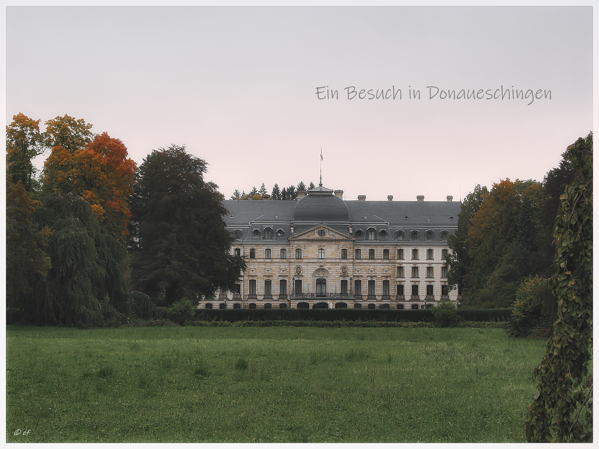 Zu Besuch in Donaueschingen