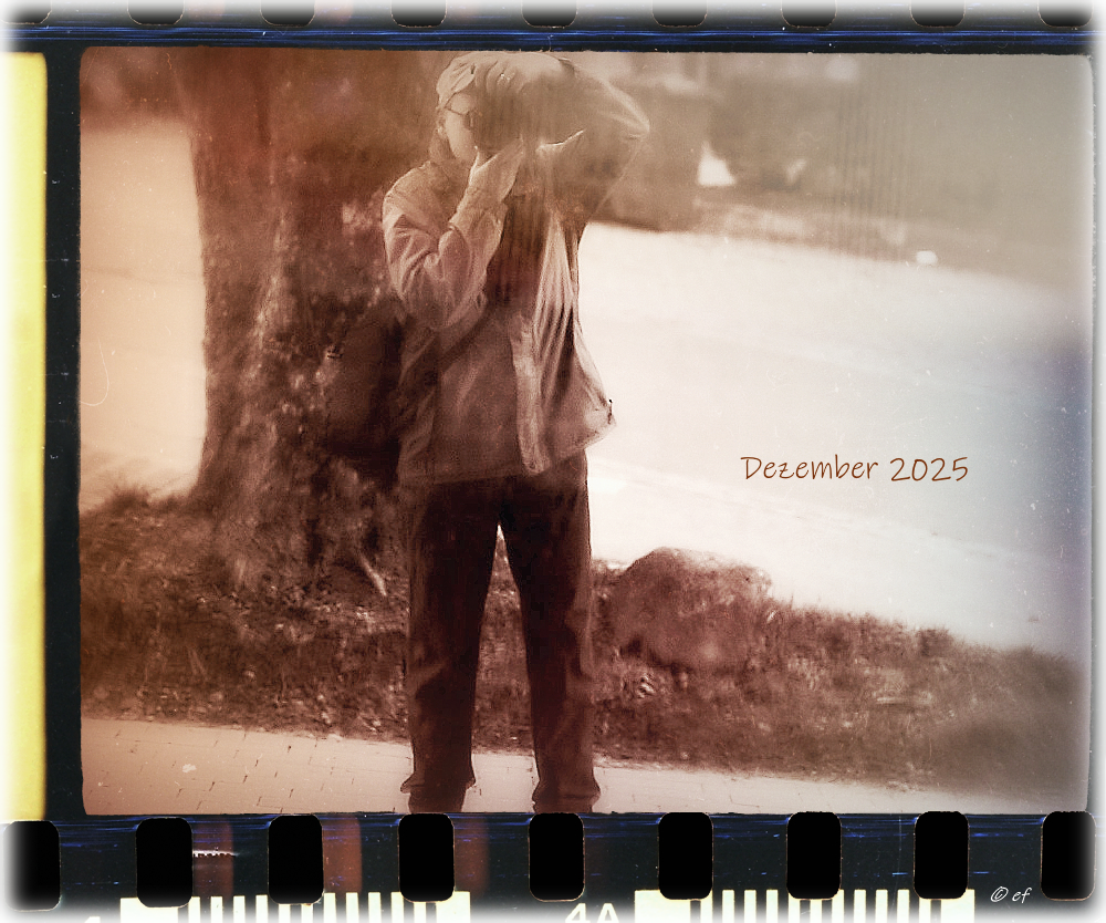 Der Dezember 2025