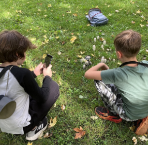 NAJU - Reinigung und Kontrolle von Nistkästen in Lauterborn