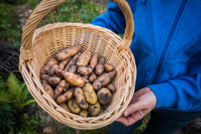 © NABU/ Sebastian Hennigs