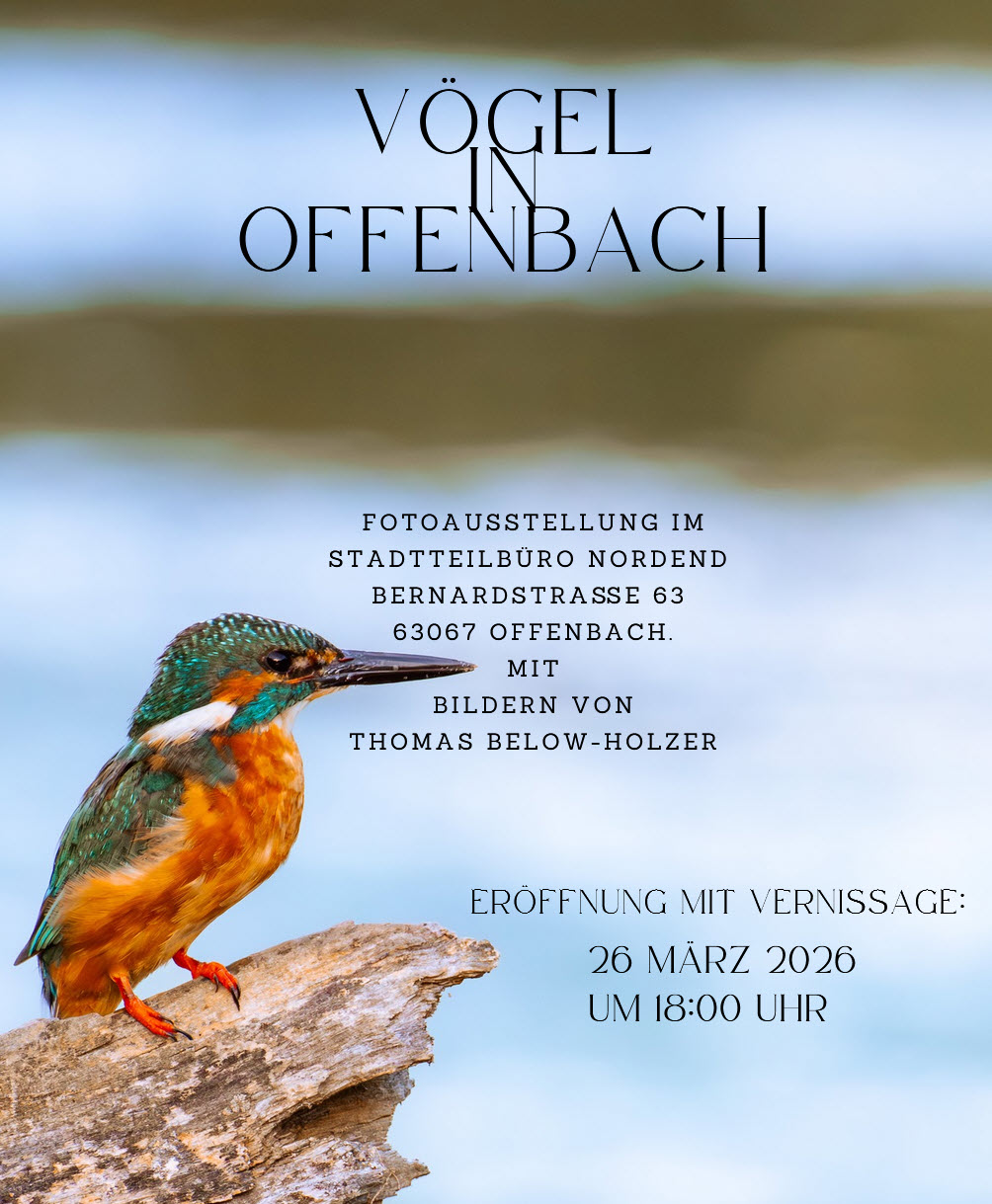 Bericht zur Fotoausstellung im Stadtteilbüro Nordend