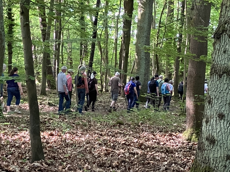 der Wandergruppe