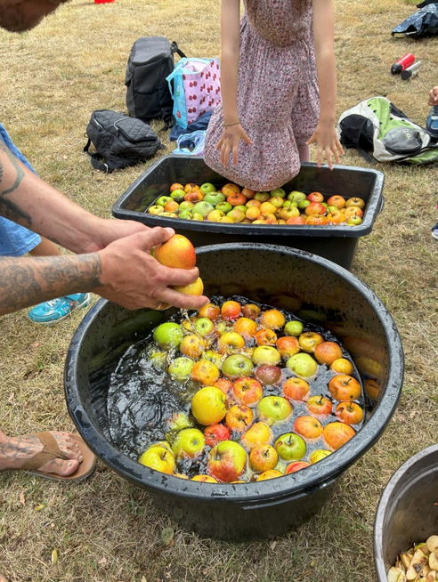 NAJU: Apfelsaft selbst gemacht