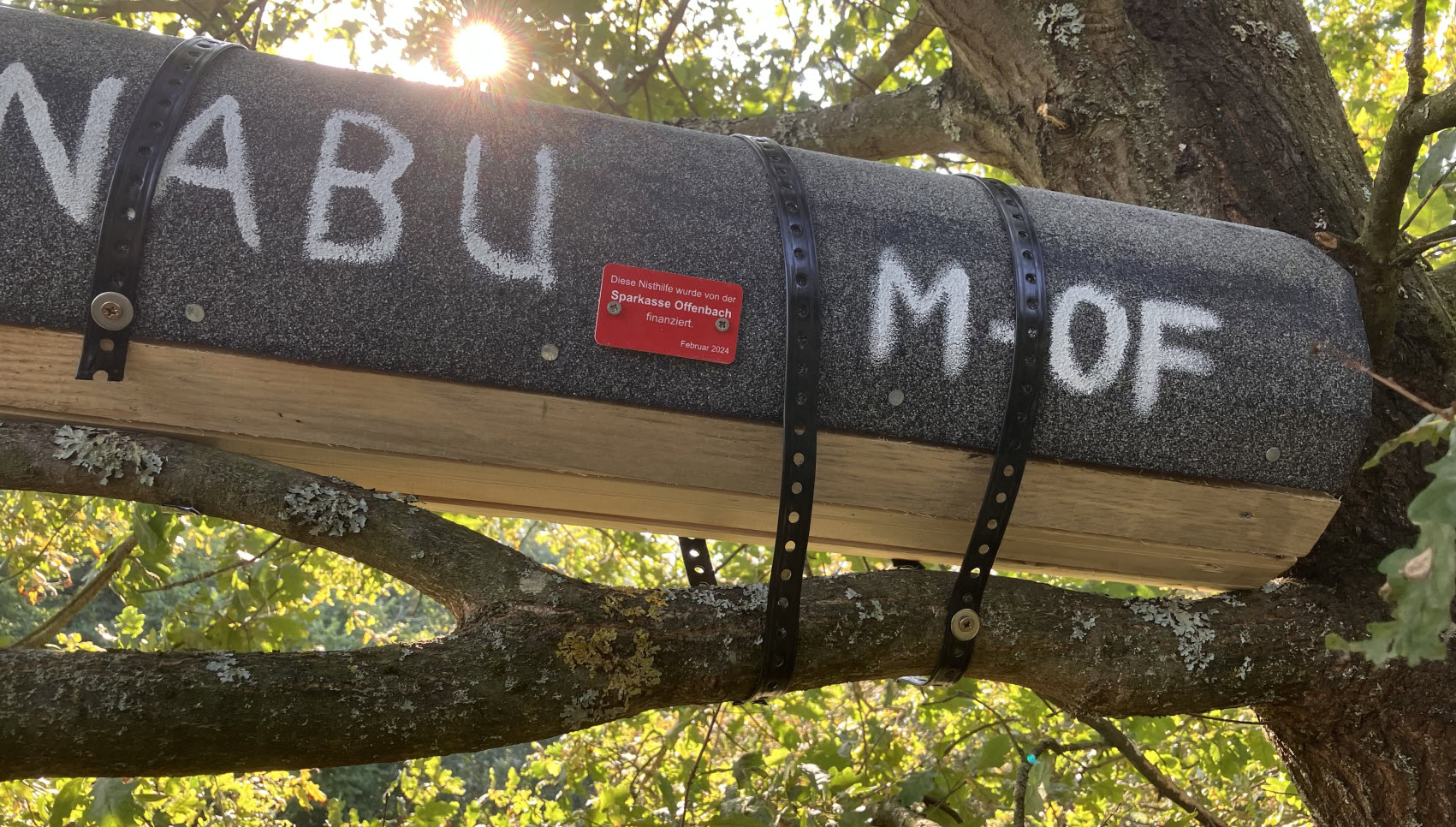 Bieber-Süd | Steinkauzröhre SK 10 | Vorderansicht