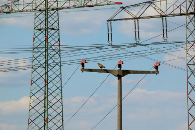 © NABU / E. Neuling