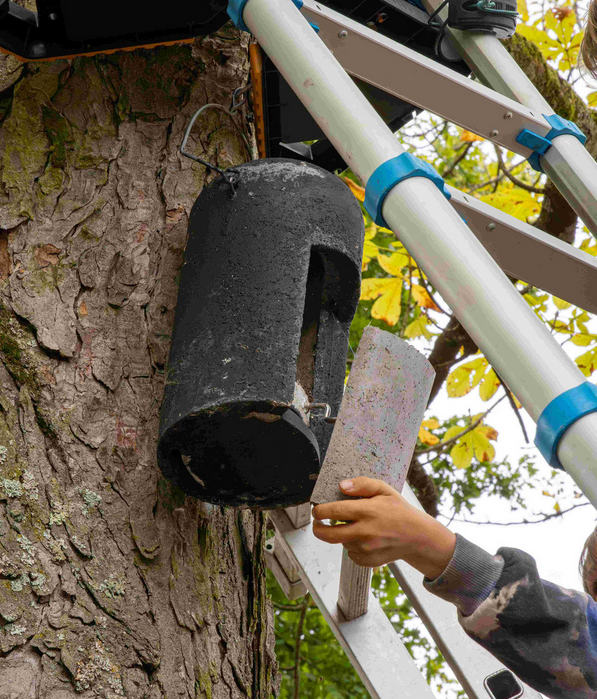 NAJU - Nistkastenpflege