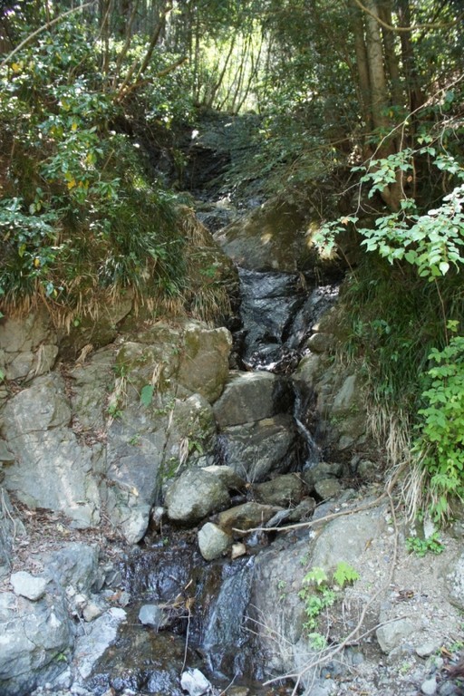 瀬戸の滝
