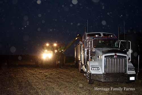 Harvest goes into the late hours of the evening