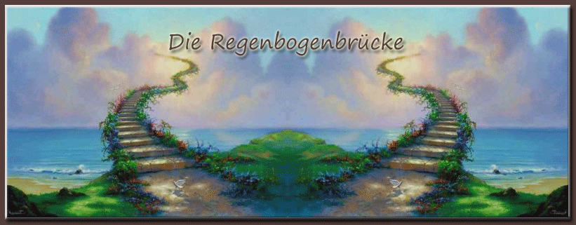 Regenbogenbrücke - Tierhilfe- Montenegro.com