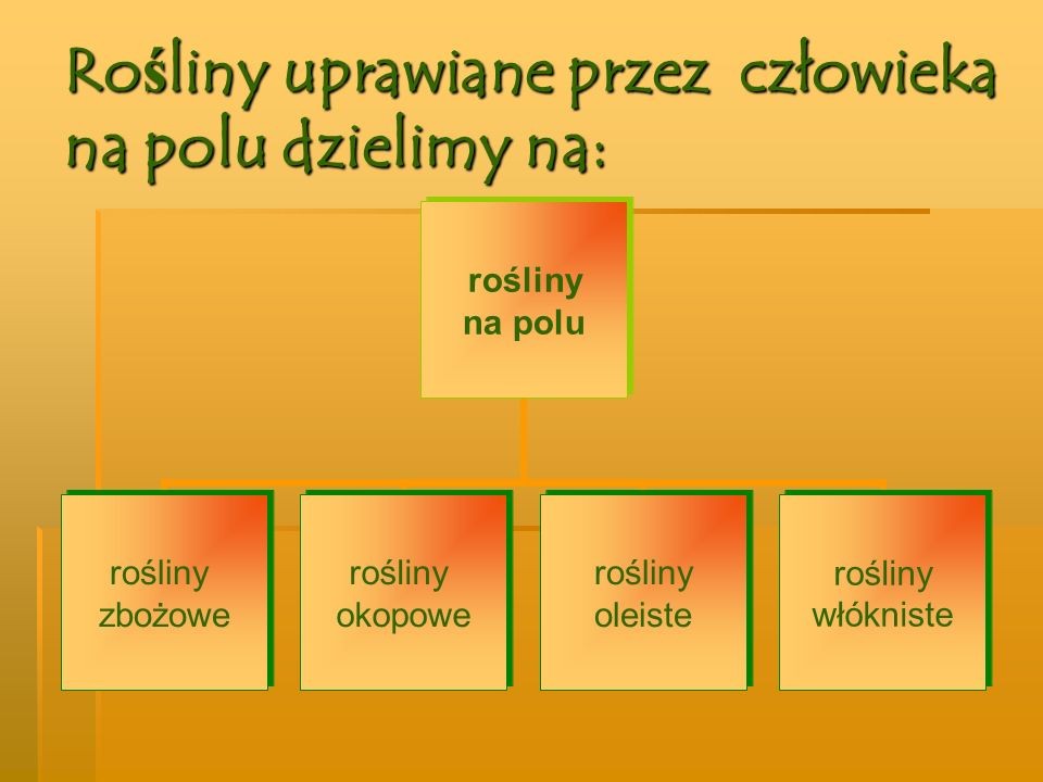 Rośliny Zbożowe Okopowe Oleiste I Włókniste Klasa 3 OD BURAKA DO LIZAKA - zajecia3