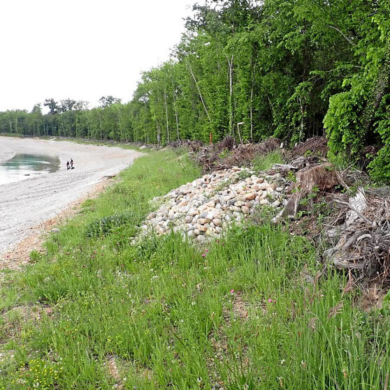 Baggersee Erweiterung in Rimsingen