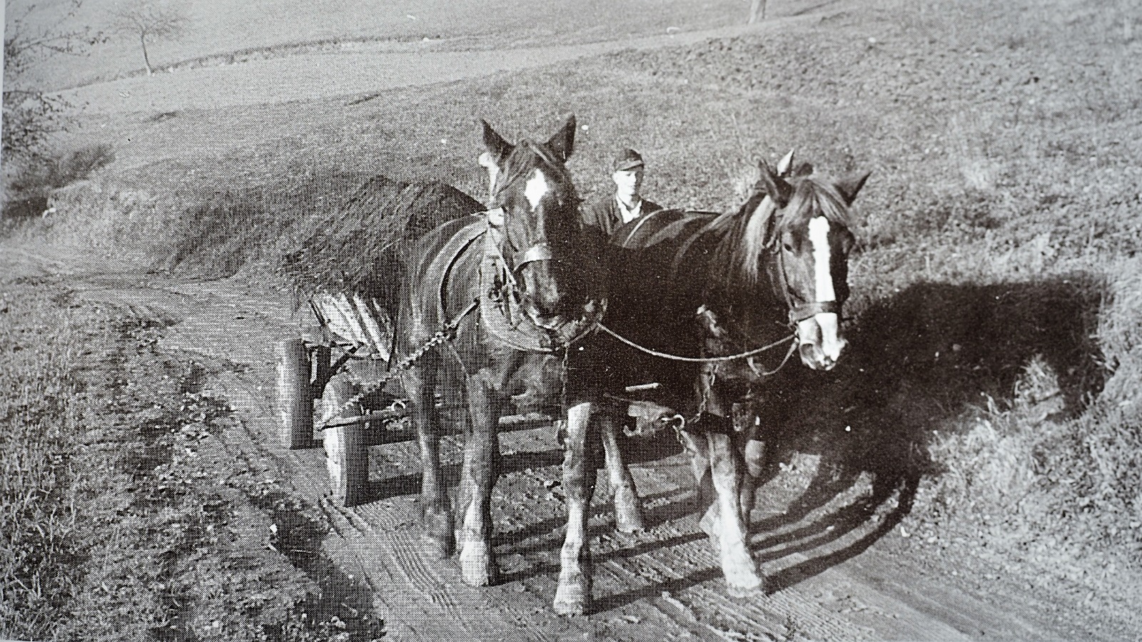 Alte Fotos von Korlingen Korlingen!