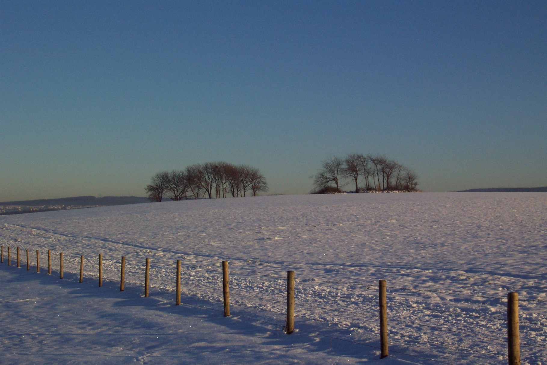 Die Korlinger Höhe im Winter