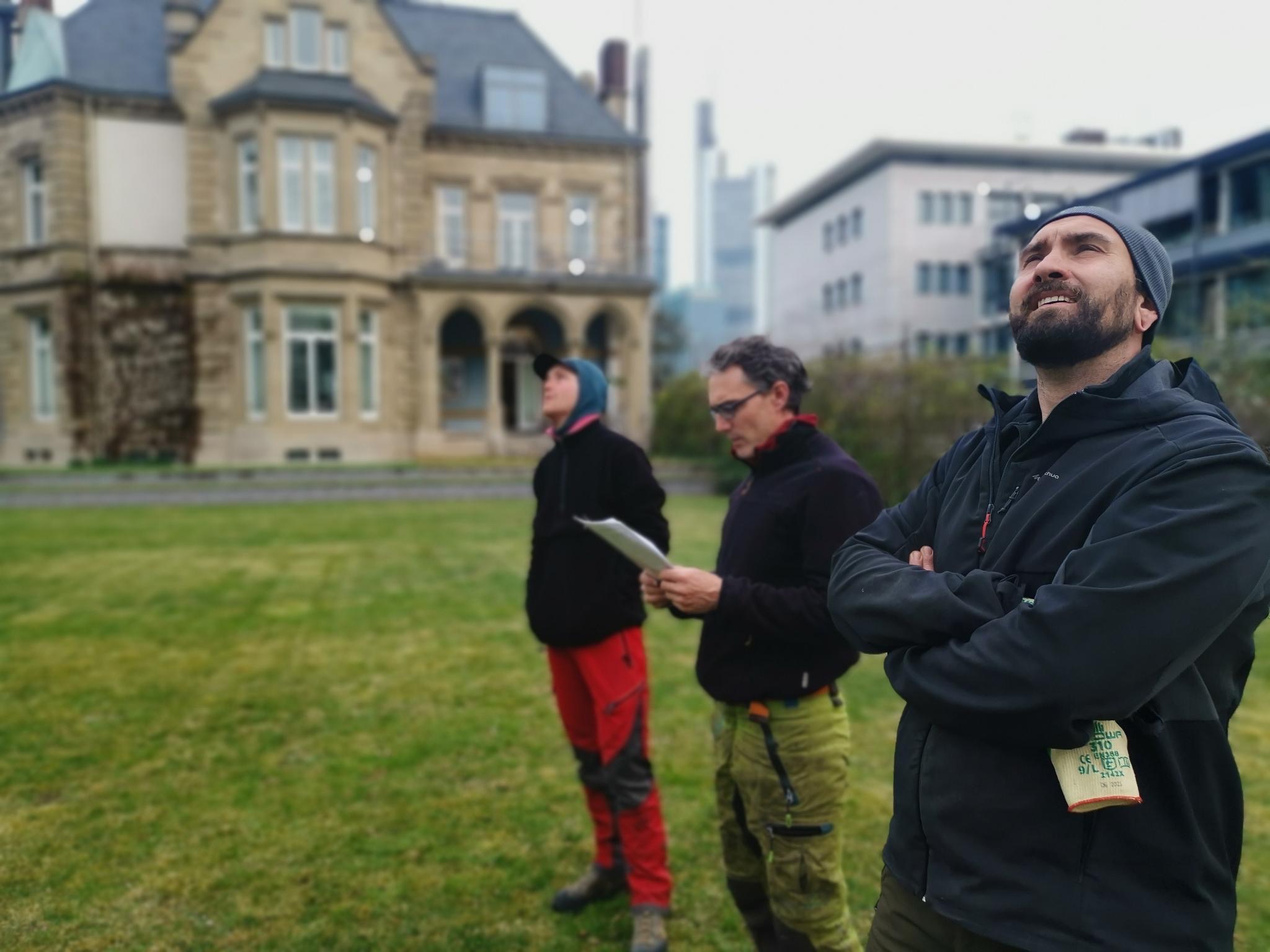 Baustelle Besprechung mit Daniel und Mo
