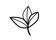 Psychotherapie Traumatherapie