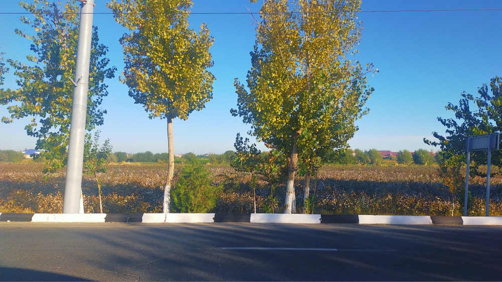 Travel - Road Movie: Mobile Ph