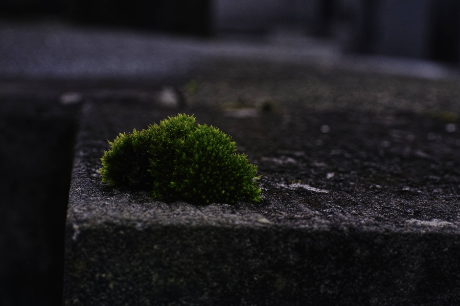 Oops again, 「Wabi Sabi」Ph Series.