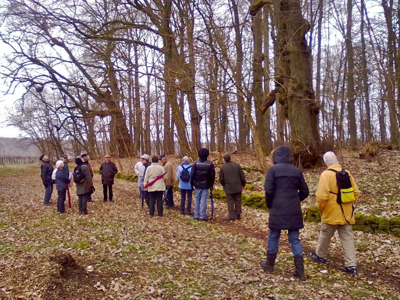 Trotz wechselhaften Frühlingswetters erfreute sich der Waldspaziergang des Weilburger Geschichtsvereins eines guten Zuspruchs.