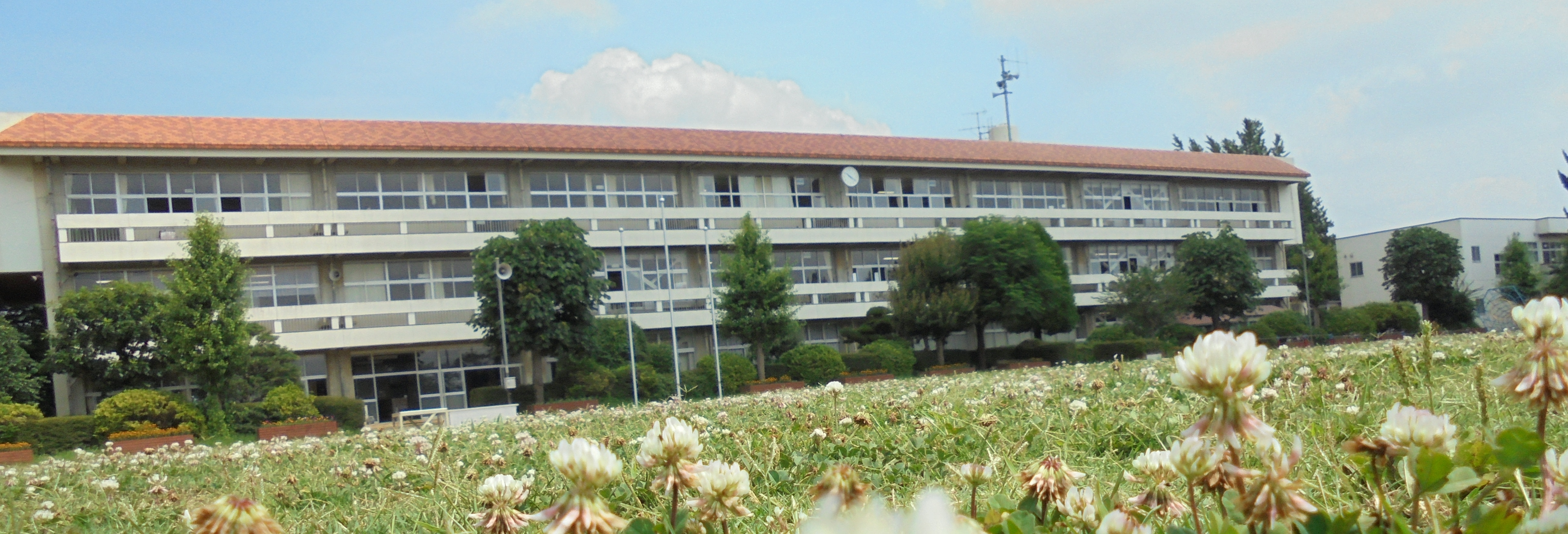 八街市立交進小学校