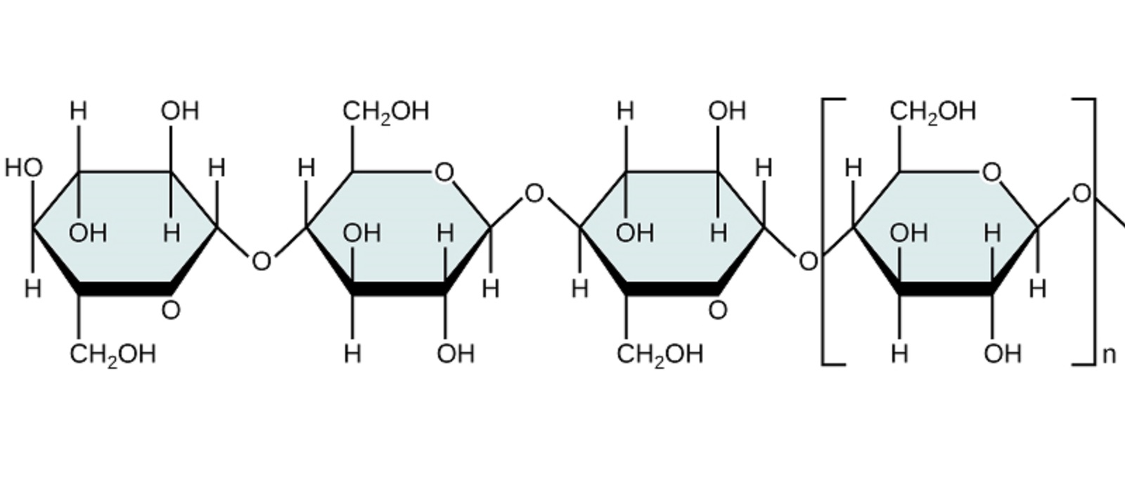 Chemical structure of cellulose