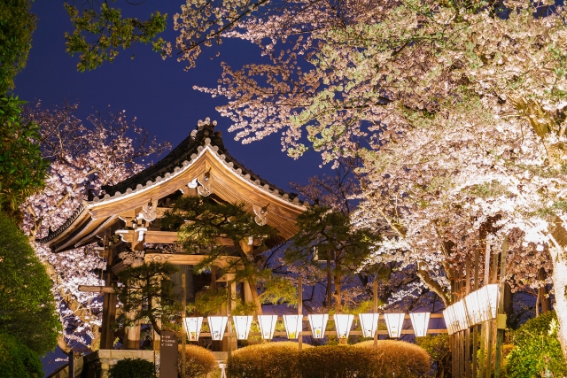 伝統鍼灸は古い医学なので伝統文化そのもの。