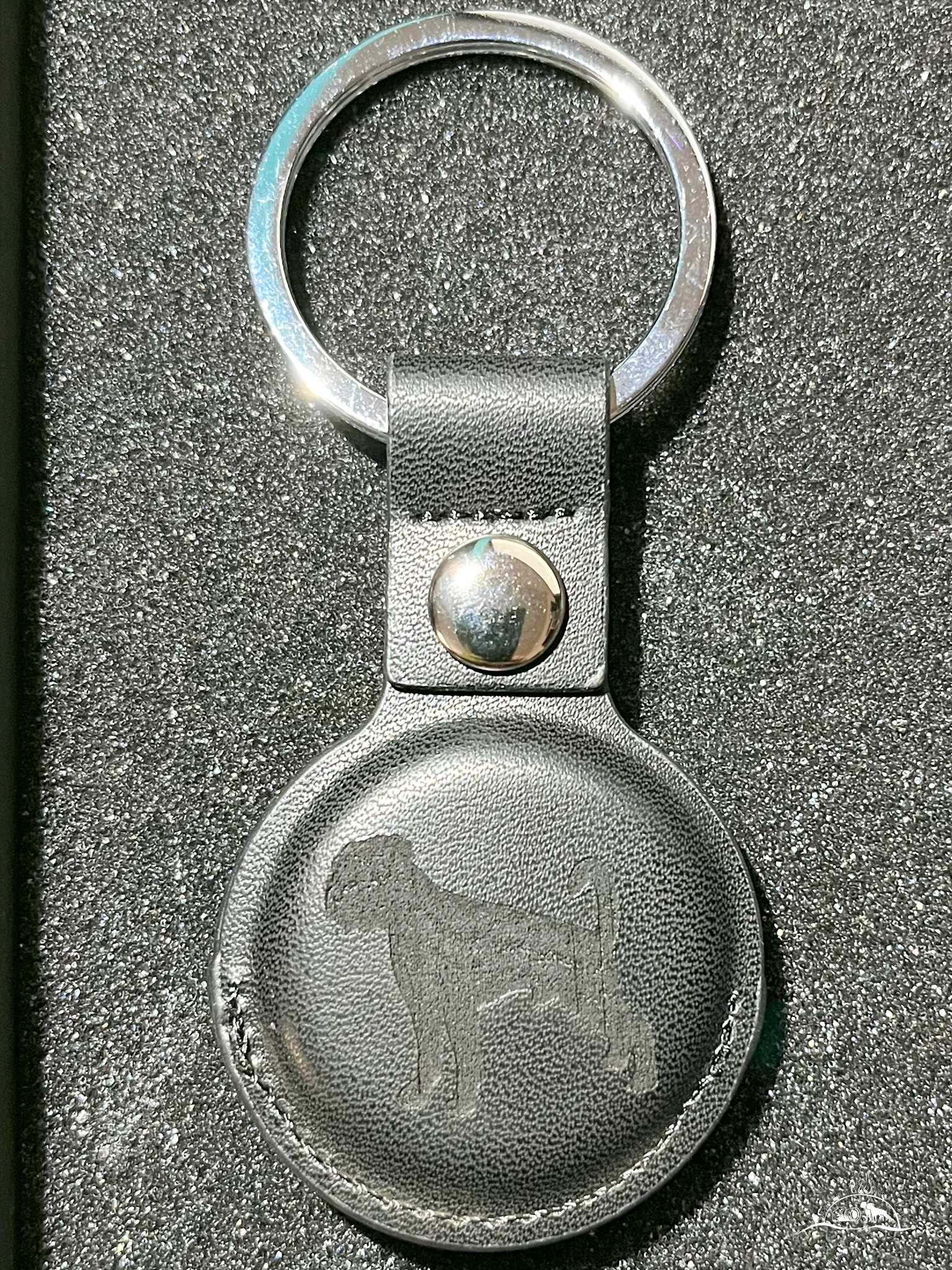 Foto auf Schlüsselanhänger (Hülle kompatibel mit Apple AirTag) gelasert - nach Vorlage