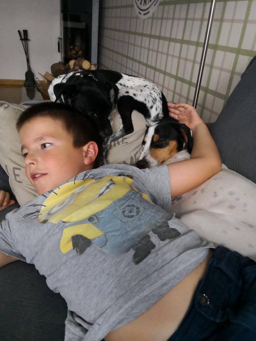 Positiver Hund mit Kindern, Mehrhundehaltung, Krebserkrankung mit Chemotherapie und Autoimmunkrankes Frauchen welches  Immunsuppressiva nimmt.