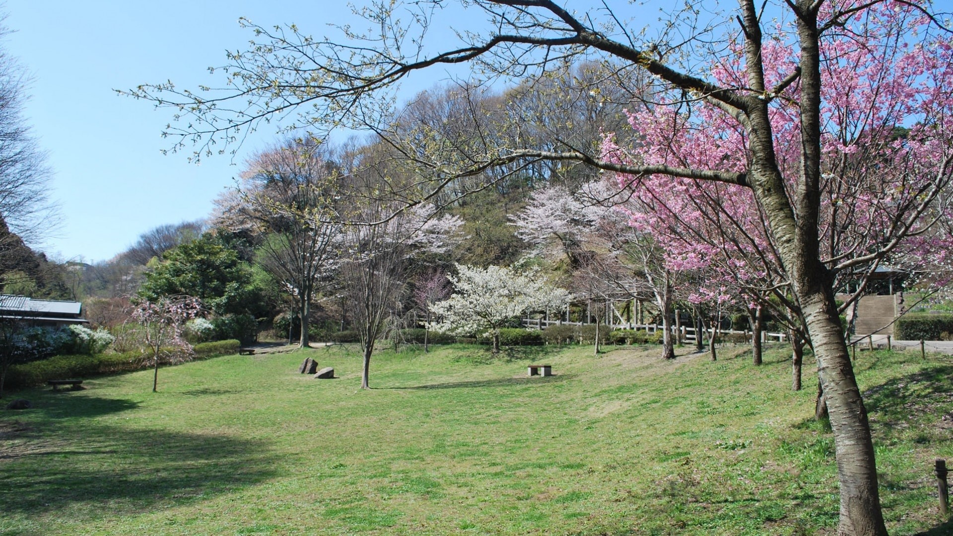 鎌倉市中央公園にて休憩。池や田んぼが広がります
