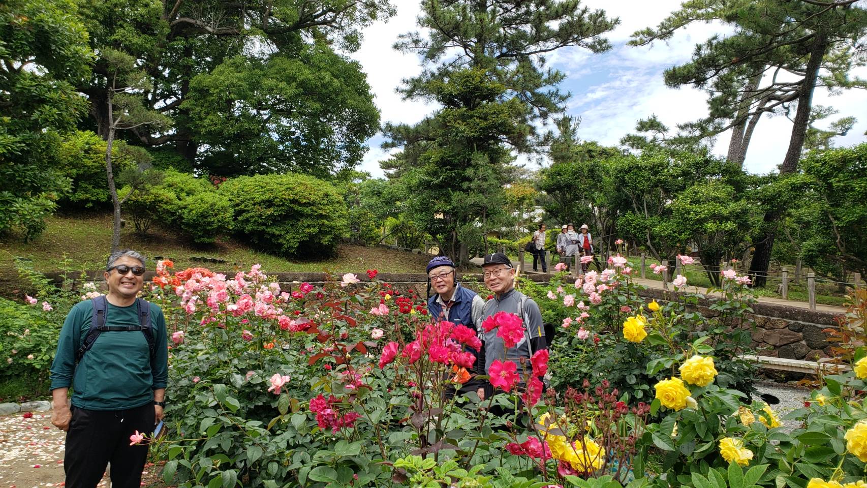 🌹バラ🌹さらに際立ちますね！