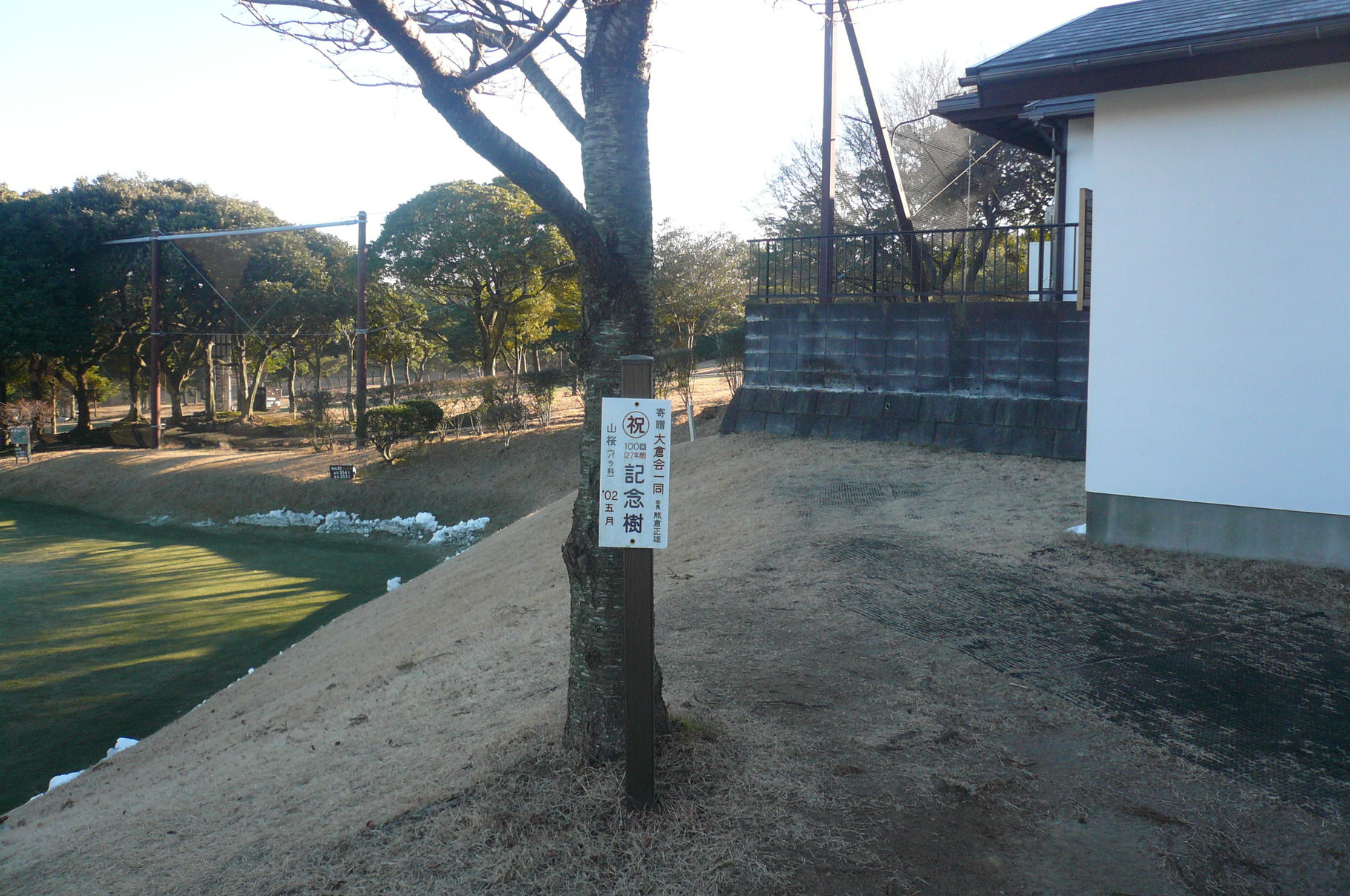 ホールインワンして記念樹植えたいですね