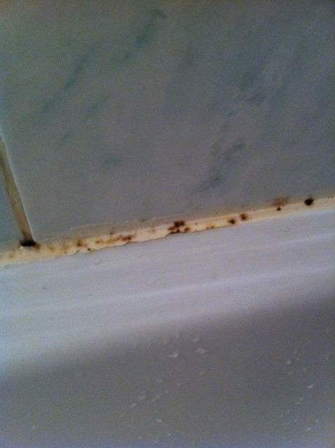 Comment Enlever Une Tache De Nutella Enlever moisissure douche - Enlever les taches facilement & rapidement
