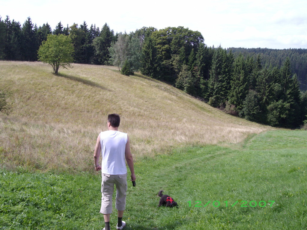   Daisy Im Wald spazieren