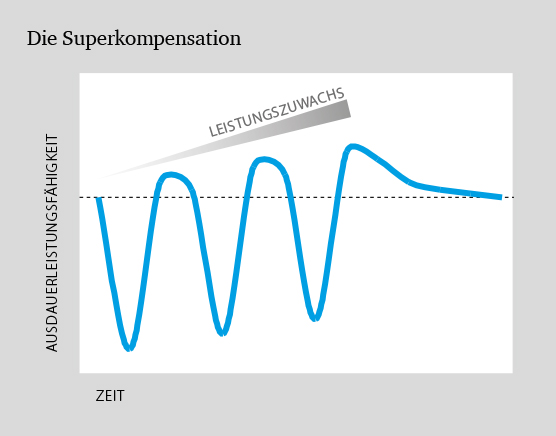 Ermüdungsbruch, Superkompensationseffekt – Dr. Matthias Marquardt