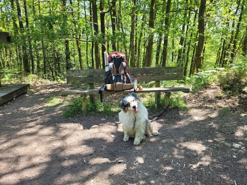 De checklist voor een meerdaagse wandeltocht