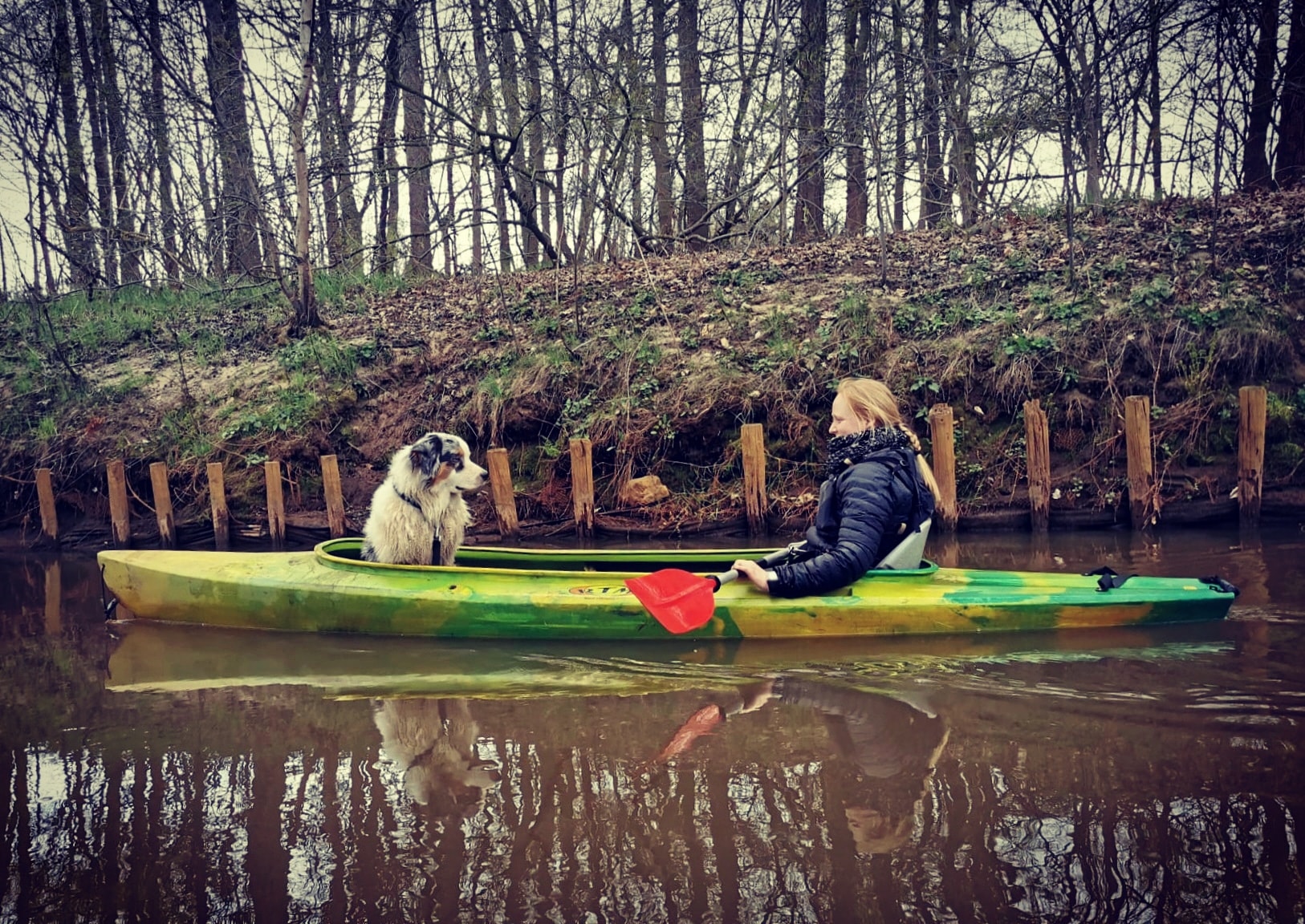 Kajakken/suppen met je hond: Kempen Kayaks