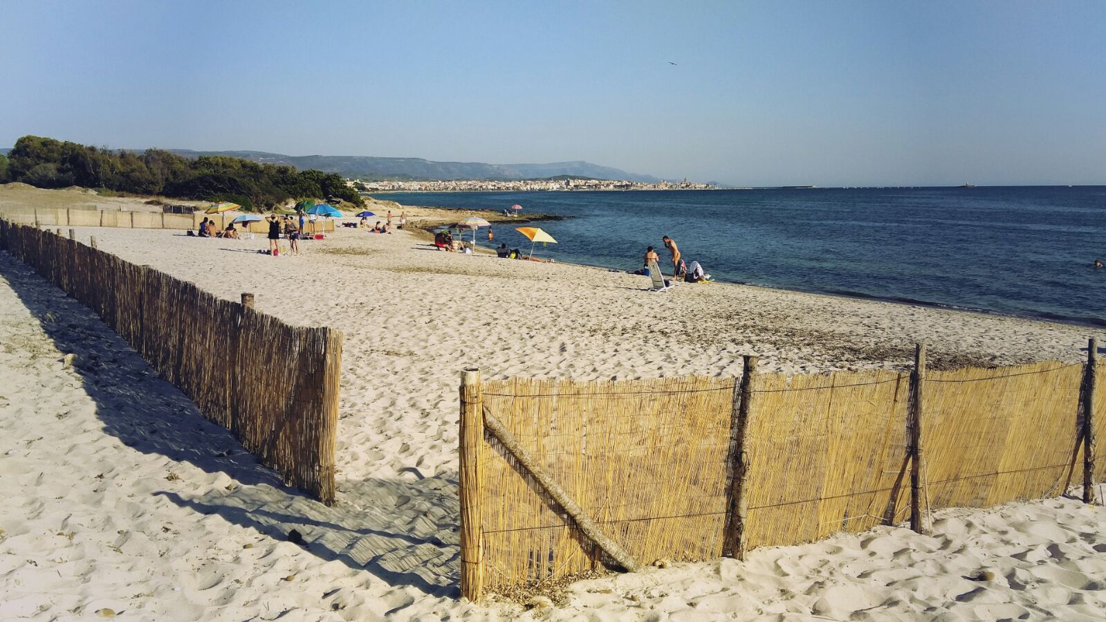 Spiaggia Per Cani Alghero Beach For Dogs Pianeta Alghero